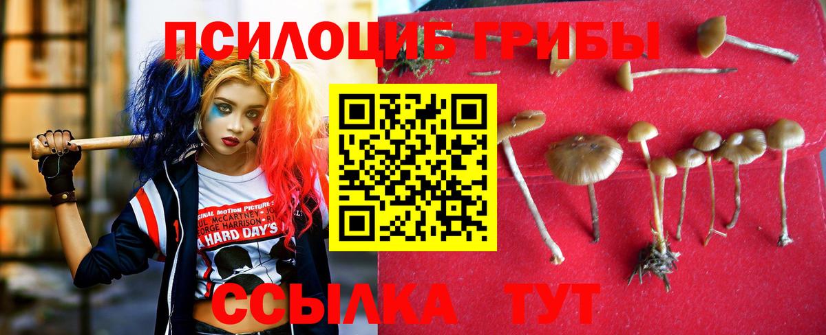 Азов  Галлюциногенные грибы GOLDEN TEACHER  Вход с VPN 